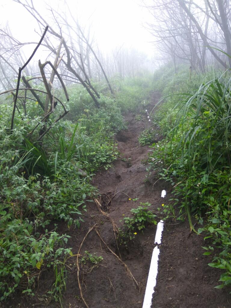 Gunung Merbabu via Grenden, Desember 2016