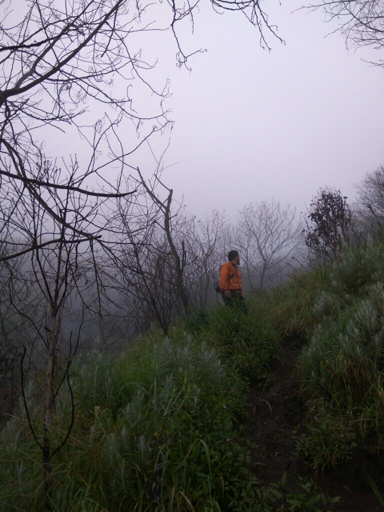 Gunung Merbabu via Grenden, Desember 2016