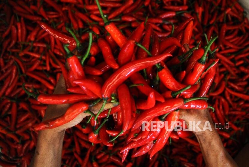 Petani tak Nikmati Keuntungan dari Kenaikan Harga Cabai