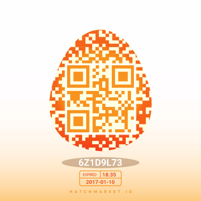 Egg code. Egg code