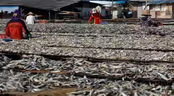 Menteri Susi Pecahkan Rekor PNBP Rp 360,86 Miliar di 2016