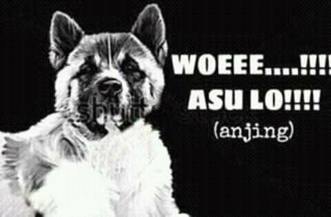 Quotes Meme Ngawur Ilmuan