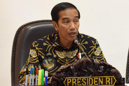 Jokowi Minta DEN Riset Sawit Sebagai Pengganti BBM