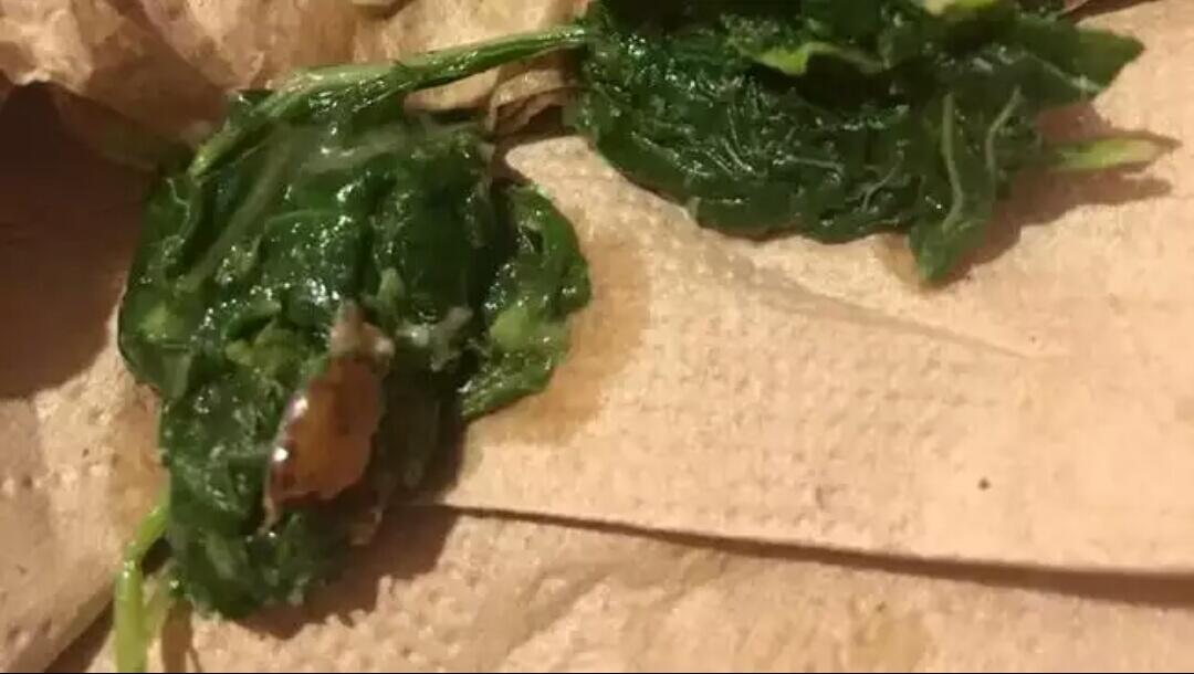 Viral, Kisah Vyna yang Gigit Kecoak saat Makan Holycow!

