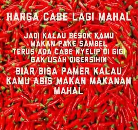 Harga Melejit, Kebun Cabai Dijaga Polisi