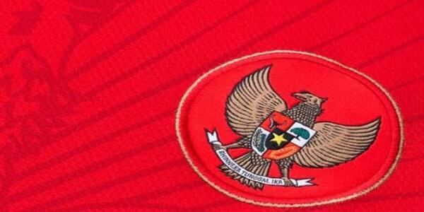 Timnas nggak butuh Milla dan Fernandez (calon pelatih) gan