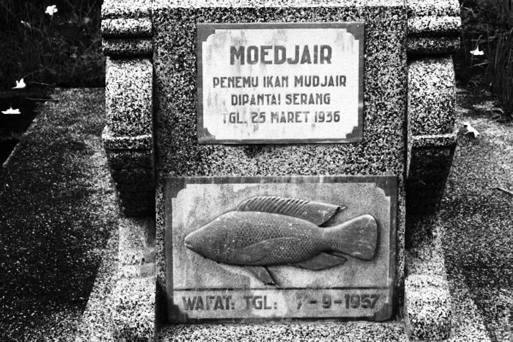 Awal Mula Ikan Mujair
