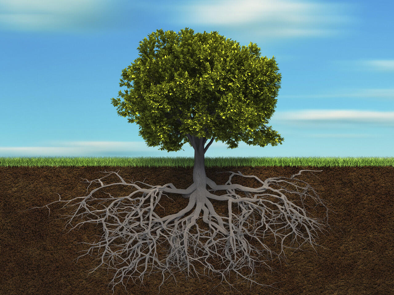 Perbedaan Root dan Jailbreak