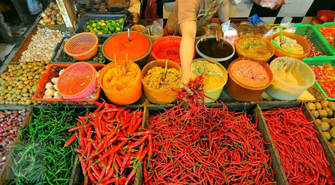 Mentan Ajak Ibu-ibu Tanam Cabai Dan Kurangi Gosip