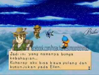 Beberapa Hoax Yang Kamu Tidak Ketahui Di Game Harvest Moon BTN