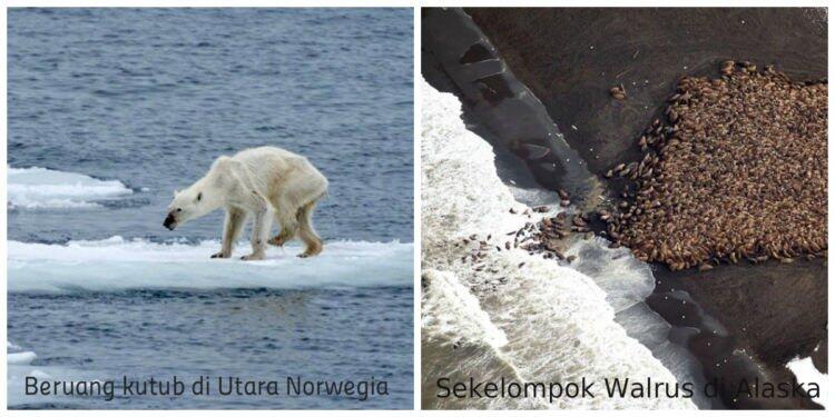 10 Foto Ini Akan Membuat Agan Paham Apa Climate Change