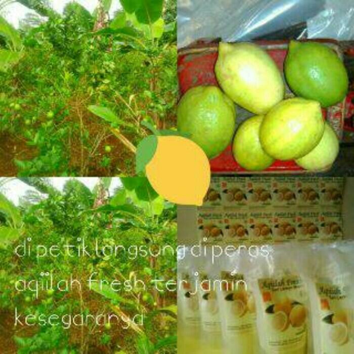 Open Reseller / Dropship Aqiilah Fresh Sari Lemon Murni