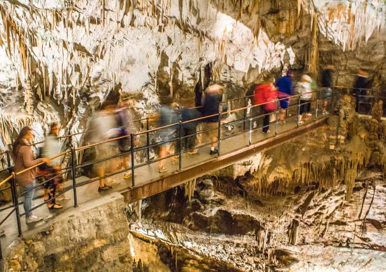 Melirik Postojna Cave, Jaringan Gua Bawah Tanah Alami nan Menakjubkan