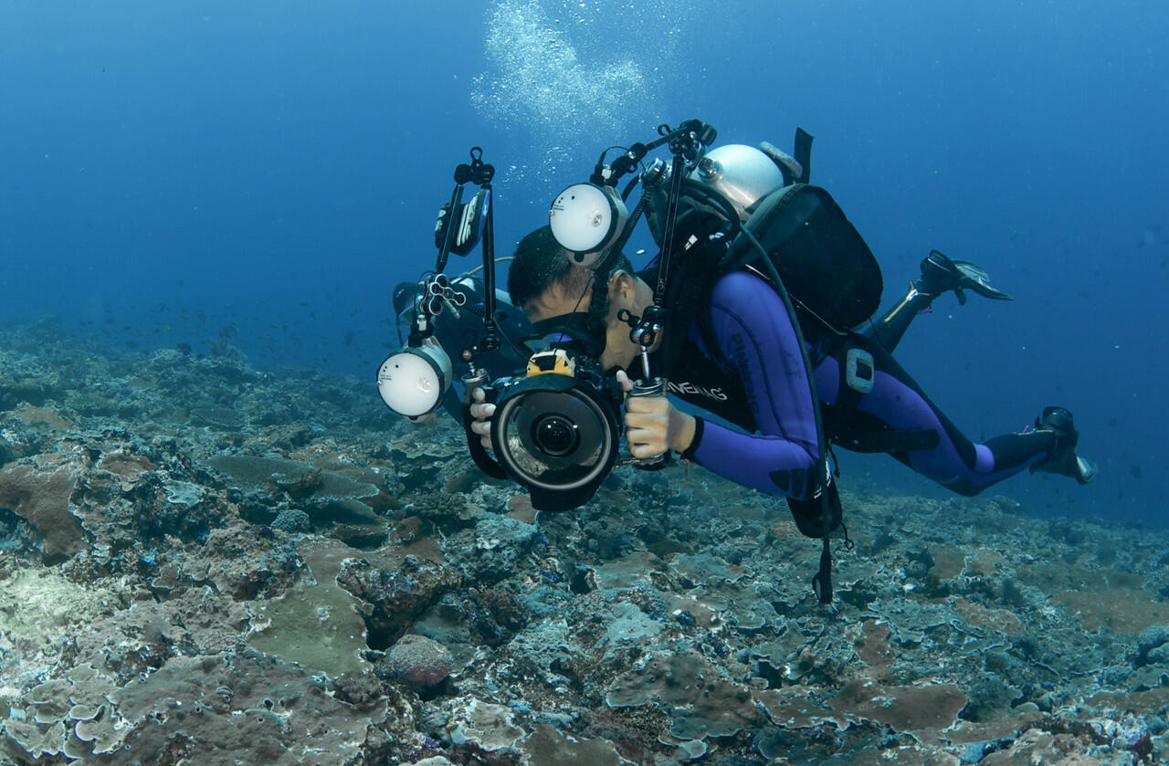 Kamera dalam air (underwater) apa yang harus saya beli?