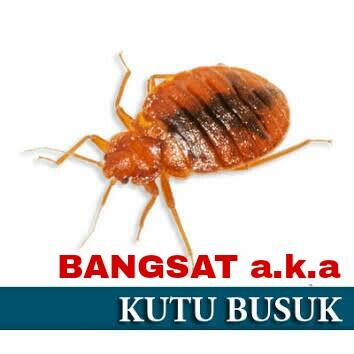 Apakah FPI Ormas Anti Pancasila? Nih Jawaban Panglima TNI