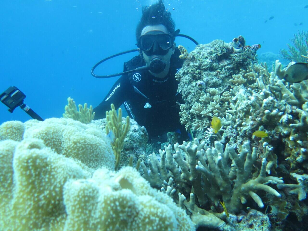 Wakatobi, Surga Di Tanah Sulawesi