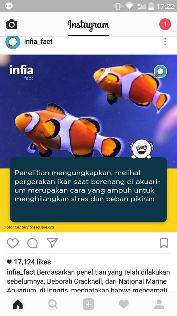 IKAN PENGHILANG STRESS DAN MENYEHATKAN