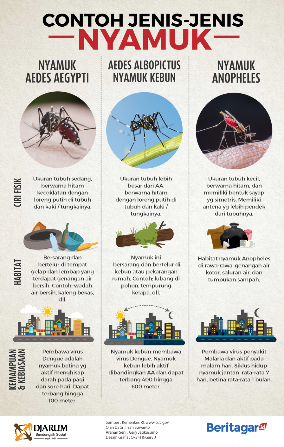 Pembedanyamuk aedes dengan nyamuk lain