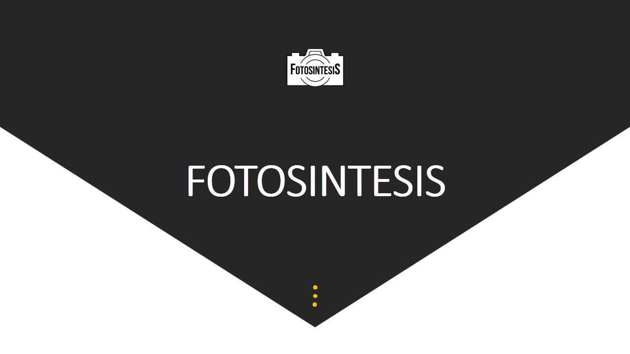 &#91; Open Recruitment &#93; Buat kamu yang pengen dapet job fotografi masuk sini !