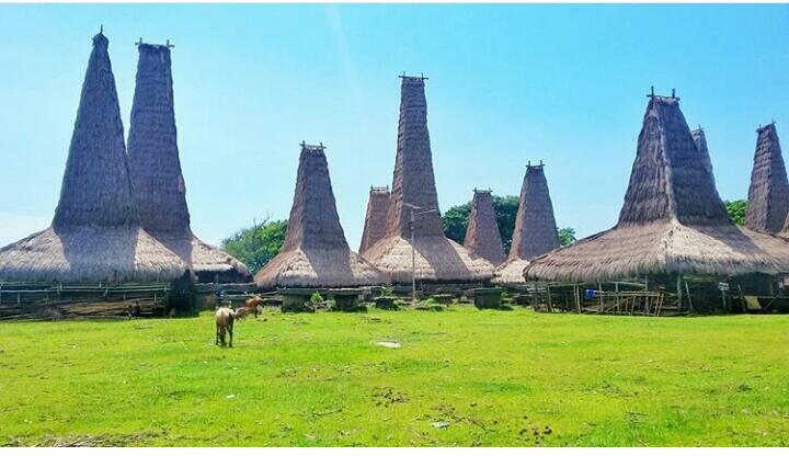 Ratenggaro Kampung Adat Terindah Di Pulau Sumba, NTT