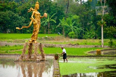  Ada  yang  pernah liat pameran  seni  di  tempat  tempat  ini 