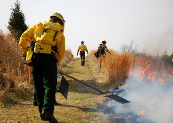 Ini Gan! Alat Tempur Andalan Wildfire Fighter 