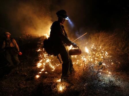 Ini Gan! Alat Tempur Andalan Wildfire Fighter 