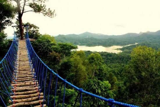 pesona wisata alam Kalibiru di Kulon Progo , Yogyakarta