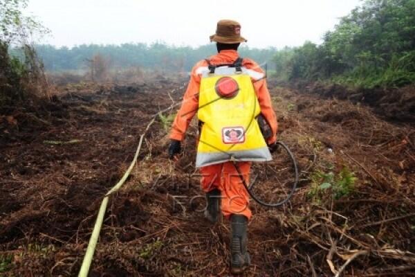 Ini Gan! Alat Tempur Andalan Wildfire Fighter 