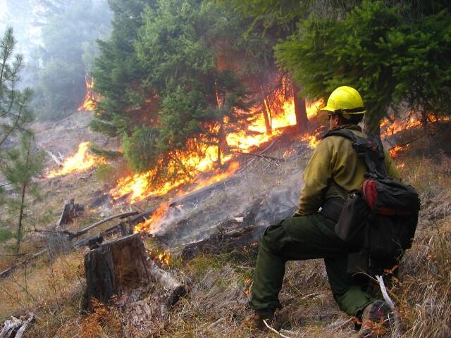 Ini Gan! Alat Tempur Andalan Wildfire Fighter 