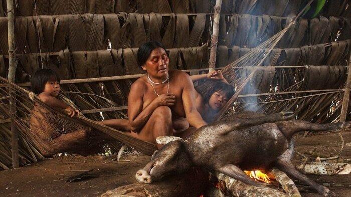 Foto, Fakta Suku Huaorani Bikin Terbelalak, Perkampungan Tarzan Di Hutan Amazon