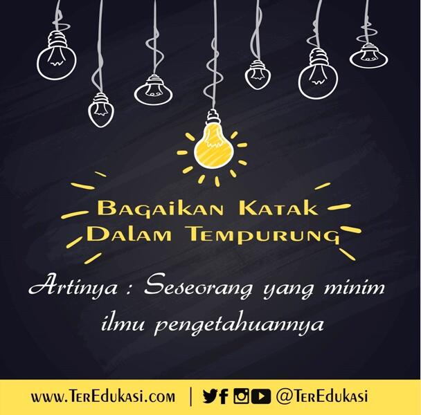 Memaknai Pribahasa “Bagaikan Katak dalam Tempurung”