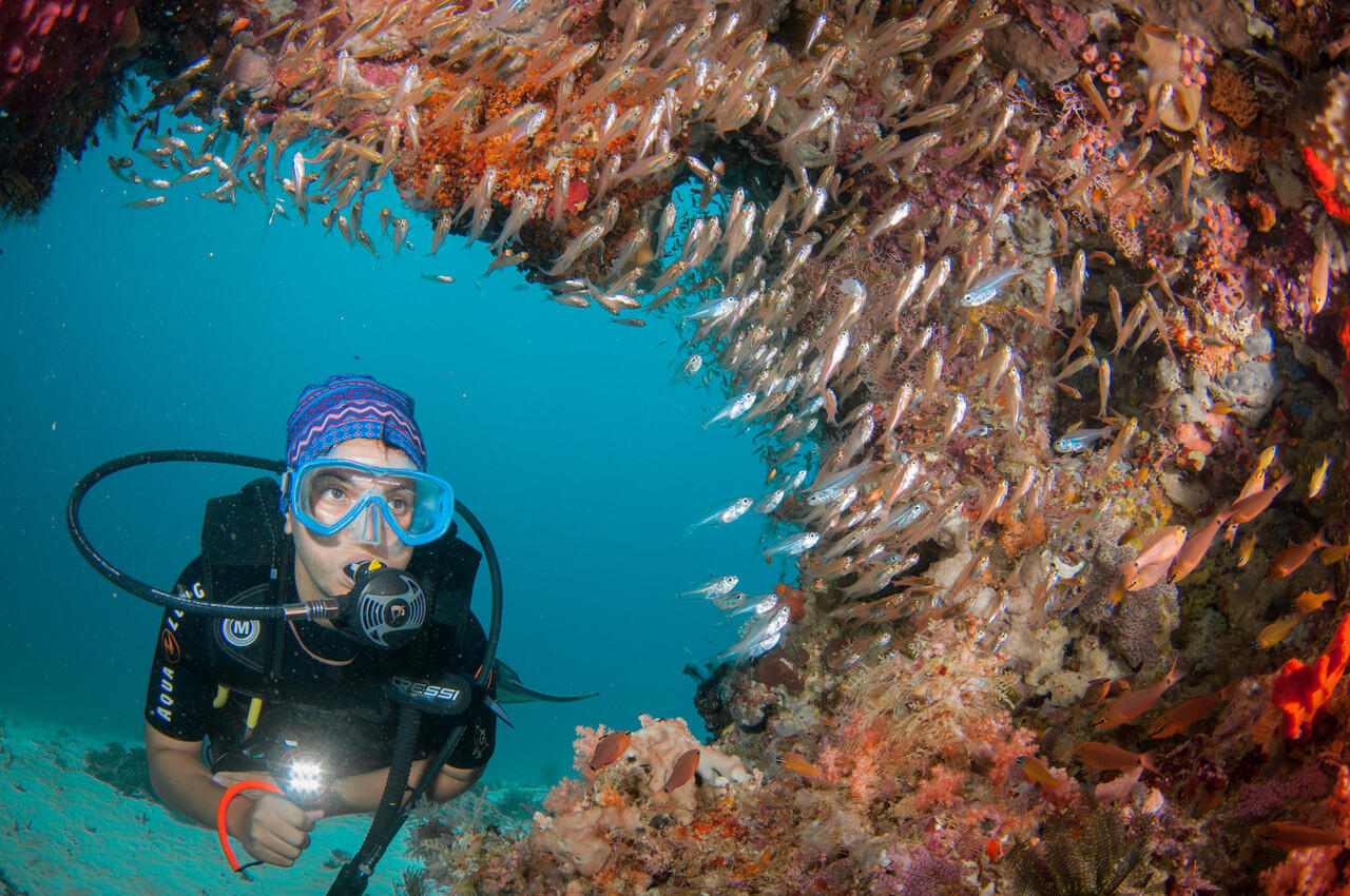 Tips menjadi model scuba