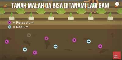 Seperti apa kehancuran bumi akibat manusia? *Explained With Animation*