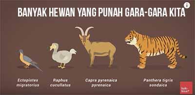 Seperti apa kehancuran bumi akibat manusia? *Explained With Animation*