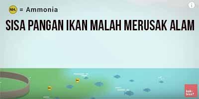 Seperti apa kehancuran bumi akibat manusia? *Explained With Animation*