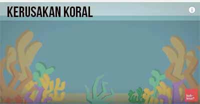 Seperti apa kehancuran bumi akibat manusia? *Explained With Animation*