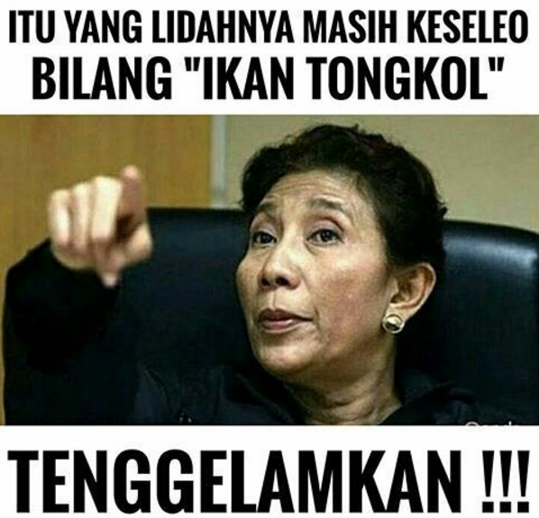 Meme 'ikan tongkol salah ucap' ini bikin ketawa malu-malu