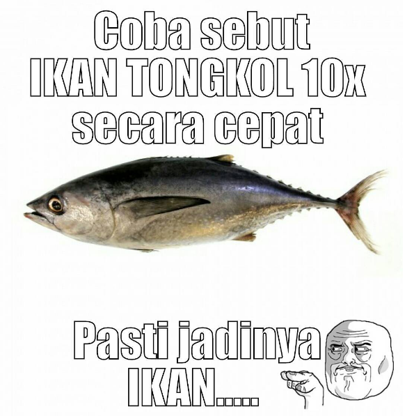 Meme 'ikan tongkol salah ucap' ini bikin ketawa malu-malu