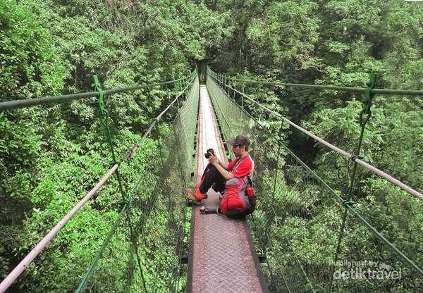 INFO!!! Spot Menarik di Taman Nasional Gede Pangrango