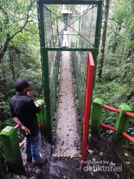 INFO!!! Spot Menarik di Taman Nasional Gede Pangrango