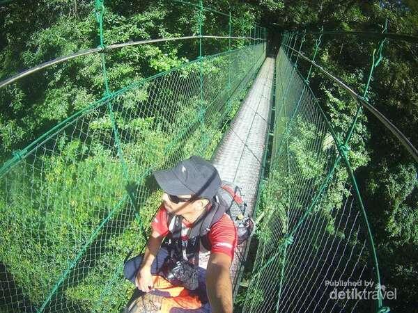 INFO!!! Spot Menarik di Taman Nasional Gede Pangrango