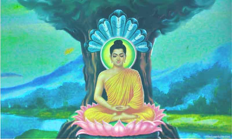 Kelahiran Red Lotus Foundation