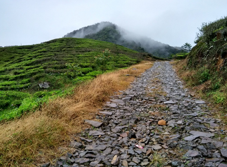 &#91;CatPer&#93; Memandang Sang Kolosal Gede-Pangrango dari Gunung Kencana. Jan2017