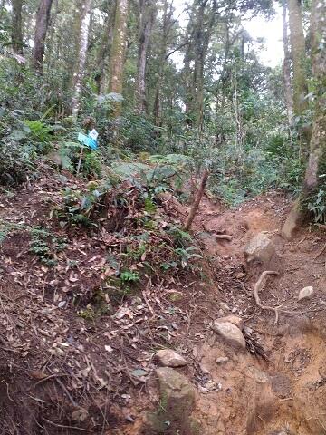 &#91;CatPer&#93; Memandang Sang Kolosal Gede-Pangrango dari Gunung Kencana. Jan2017