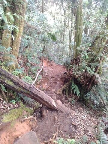 &#91;CatPer&#93; Memandang Sang Kolosal Gede-Pangrango dari Gunung Kencana. Jan2017