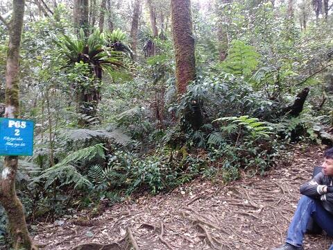 &#91;CatPer&#93; Memandang Sang Kolosal Gede-Pangrango dari Gunung Kencana. Jan2017