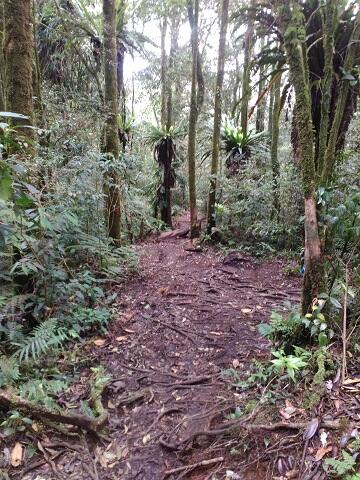 &#91;CatPer&#93; Memandang Sang Kolosal Gede-Pangrango dari Gunung Kencana. Jan2017