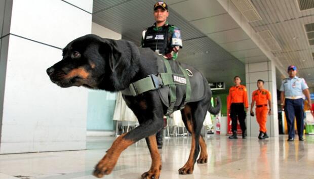 Bercanda Bom, Mahasiswa Bima Diamankan di Bandara Makassar