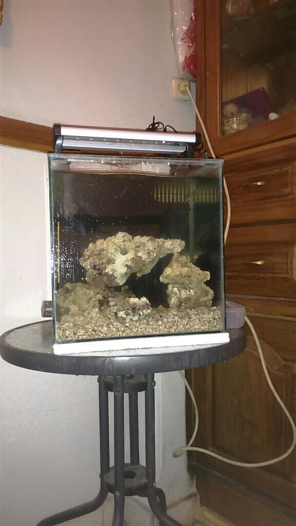 Skimmer Untuk Aquarium Ukuran 35